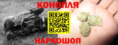 прущие крисы Гатчина