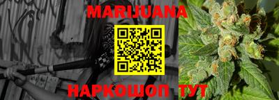 прущие крисы Гатчина