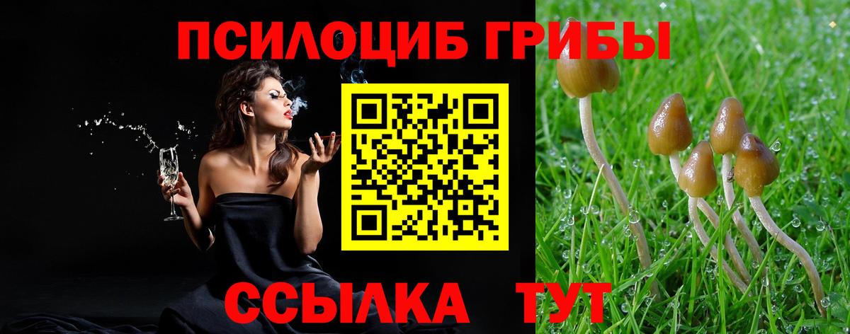 Псилоцибиновые грибы прущие грибы Москва
